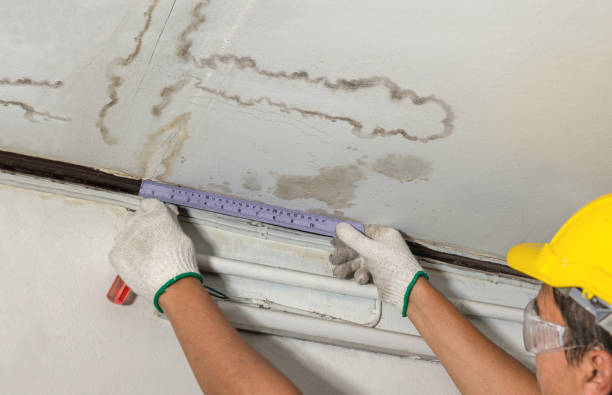 Reliable Water Damage contractor in Hubbard, TX by Water Damage Irwin
